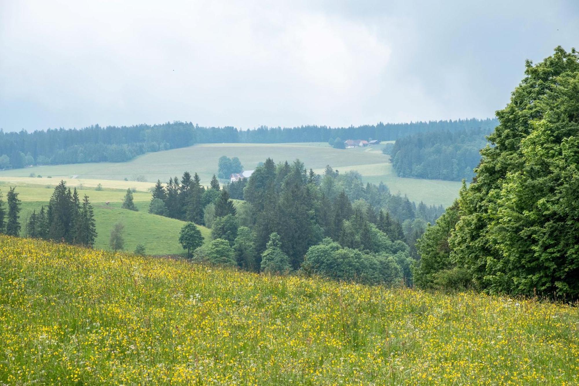 Himmelreich Schreinerhaeusle Naehe Titisee מראה חיצוני תמונה